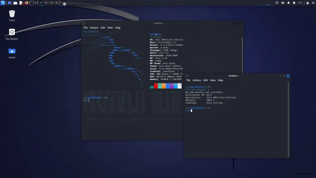 Kali Linux 2023.3 版本：技术革新与新工具的全新结合-胖大海博客资源网