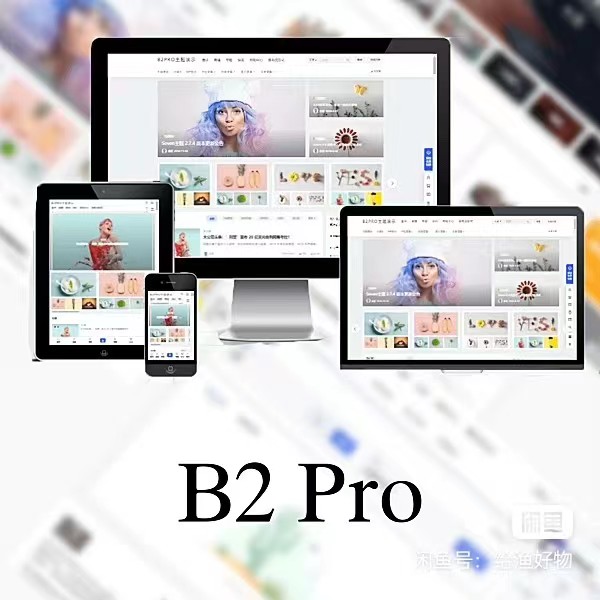 WordPress B2 Pro 主题5.2.0最新开心版,附带官方包体与授权文件-胖大海博客资源网